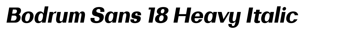 Bodrum Sans 18 Heavy Italic